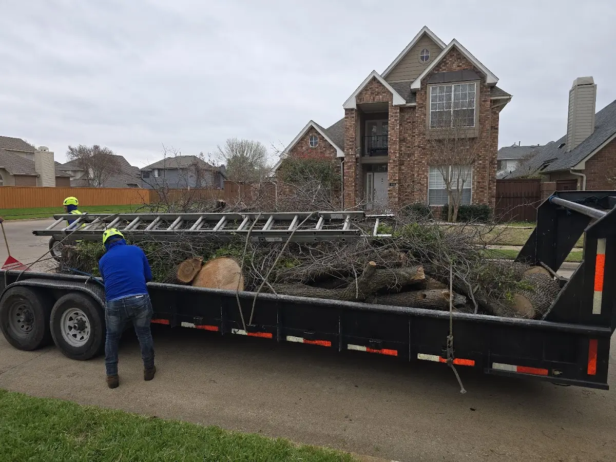 Expert Lot Clearing with proper safety equipment in Rives